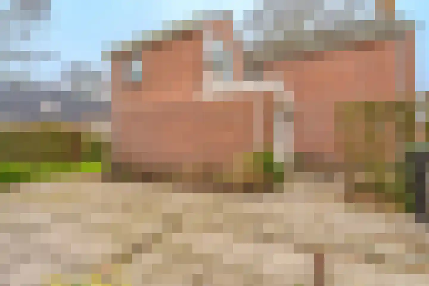 Noorderstraat 385 Sappemeer thumbnail 28