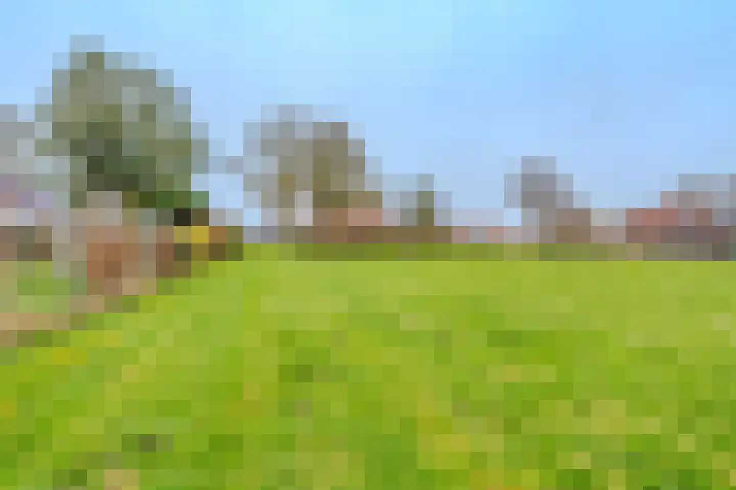 Noorderstraat 385 Sappemeer thumbnail 30