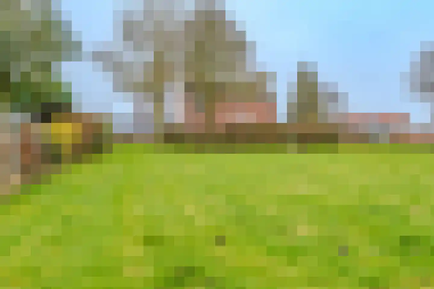 Noorderstraat 385 Sappemeer thumbnail 31