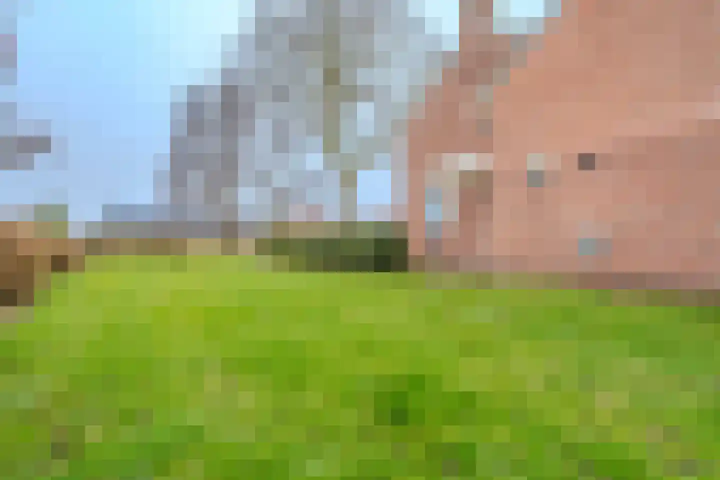 Noorderstraat 385 Sappemeer thumbnail 34