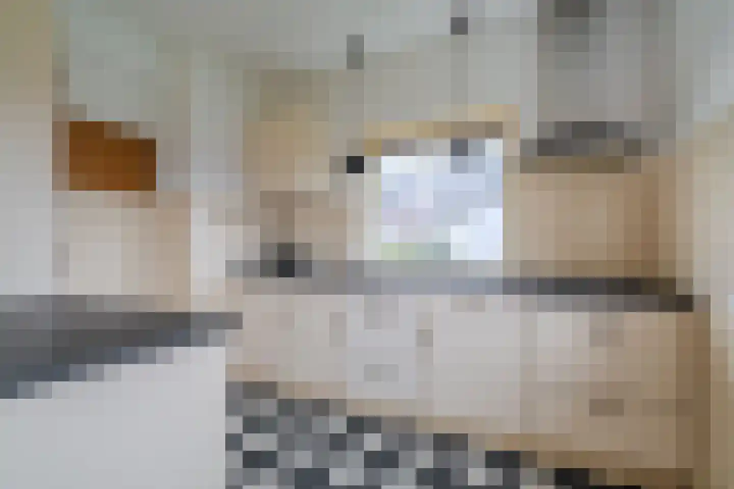 Noorderstraat 385 Sappemeer thumbnail 9