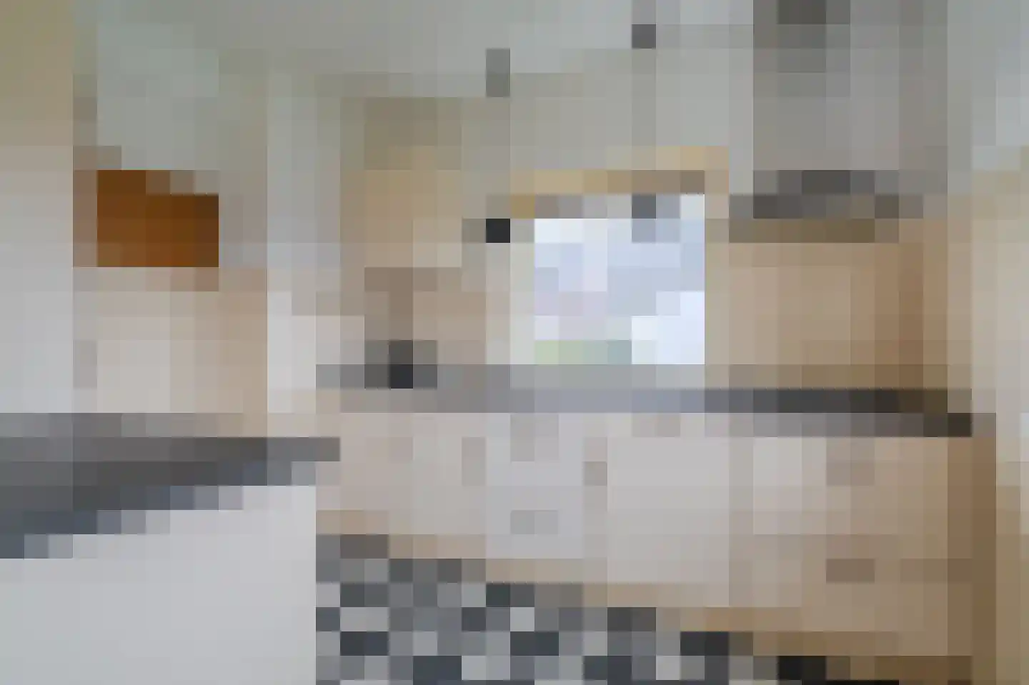 Noorderstraat 385 Sappemeer thumbnail 9