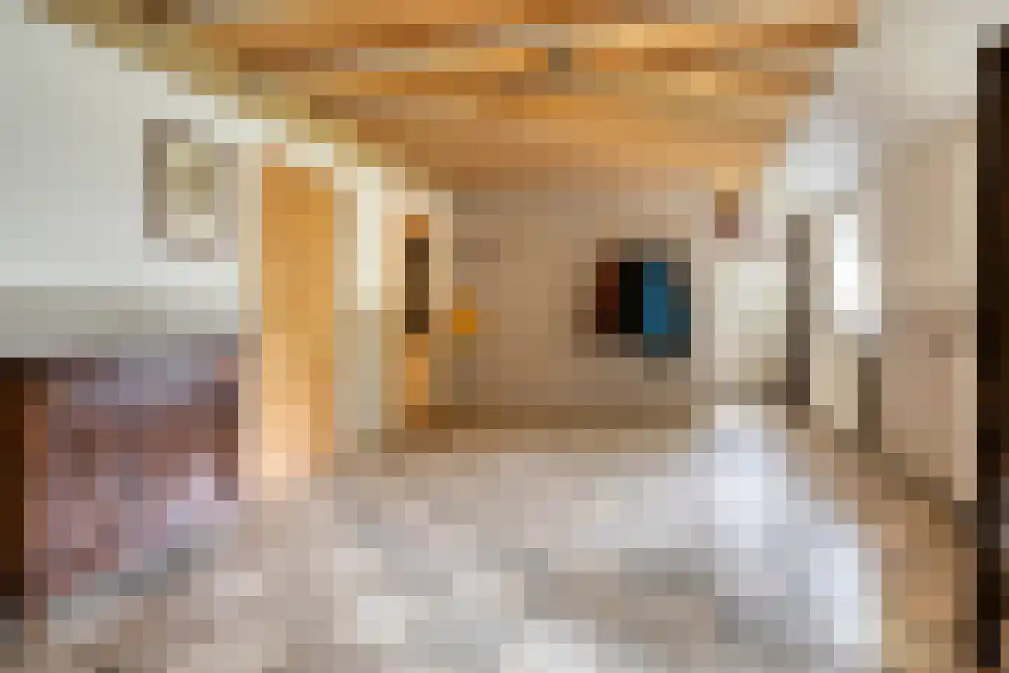Noorderstraat 4 Buinerveen thumbnail 12