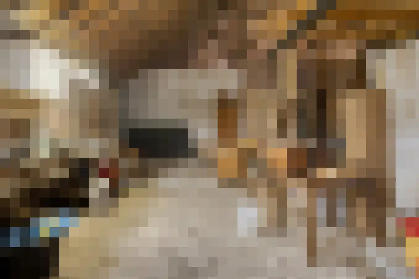 Noorderstraat 4 Buinerveen thumbnail 20