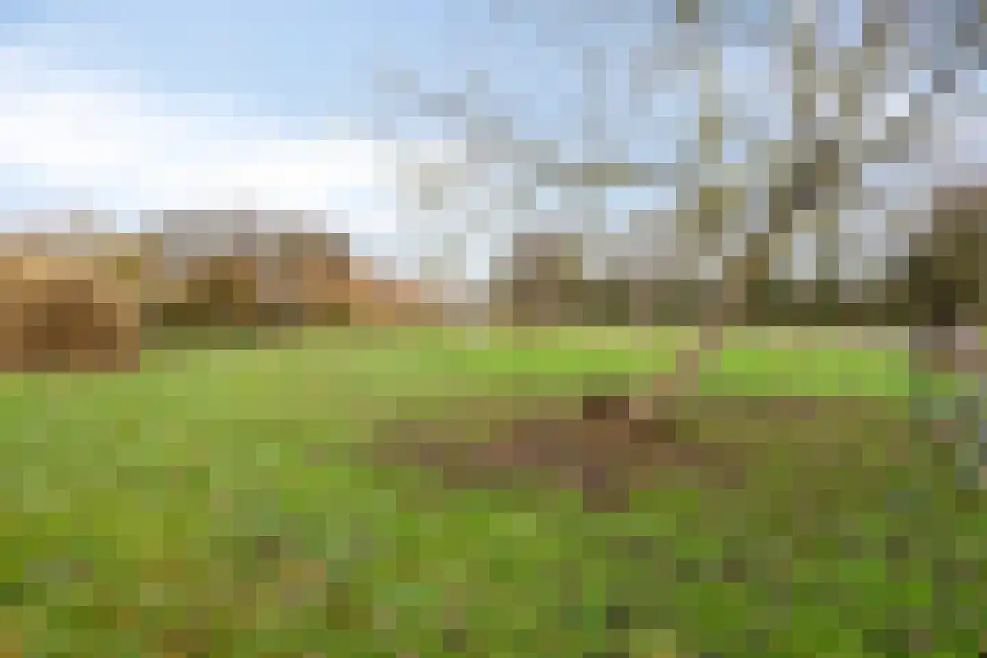 Noorderstraat 4 Buinerveen thumbnail 23