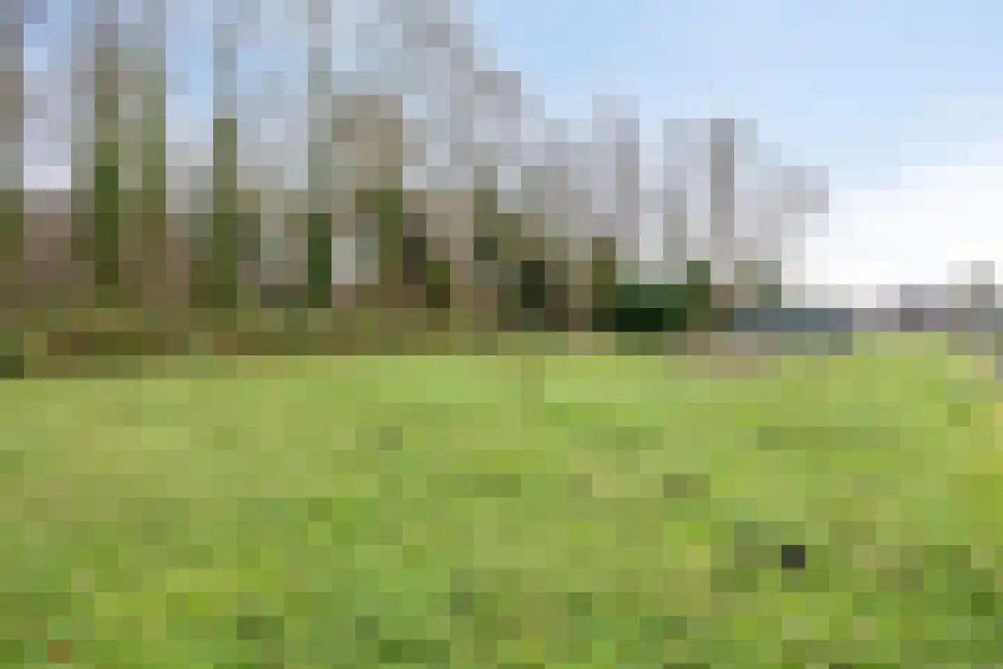 Noorderstraat 4 Buinerveen thumbnail 31
