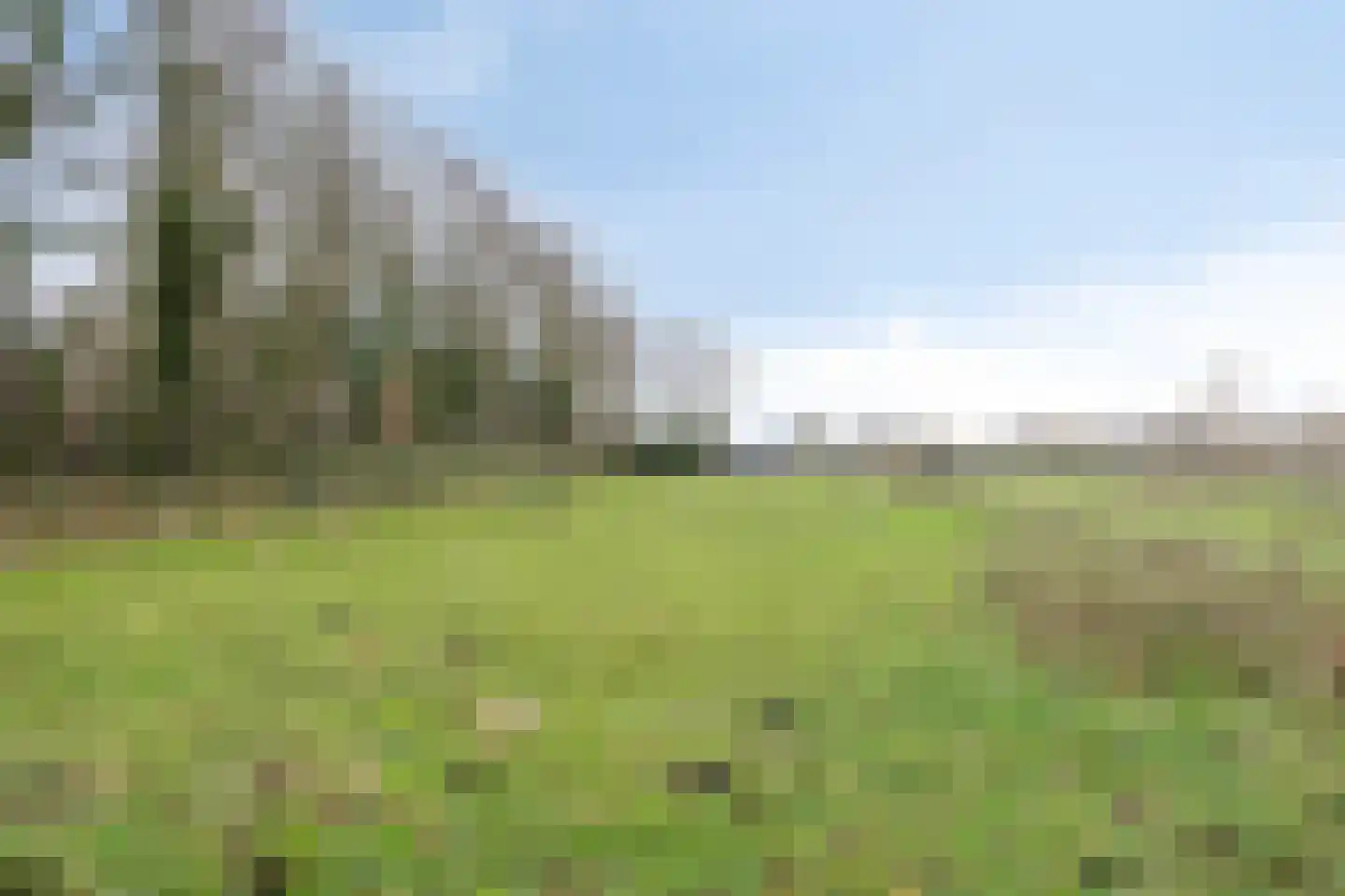 Noorderstraat 4 Buinerveen thumbnail 33