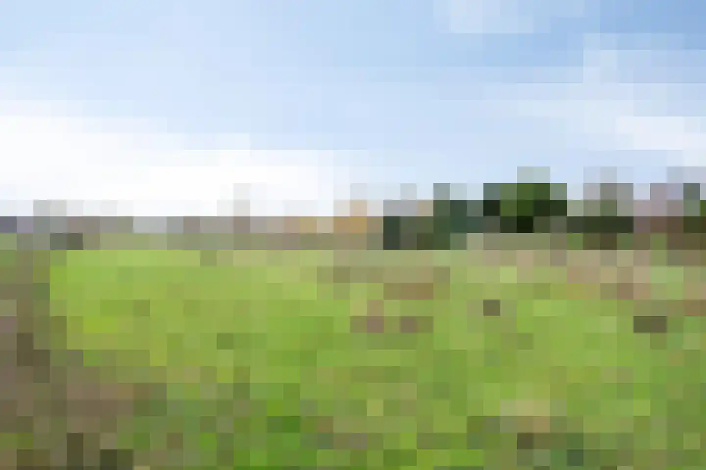 Noorderstraat 4 Buinerveen thumbnail 34