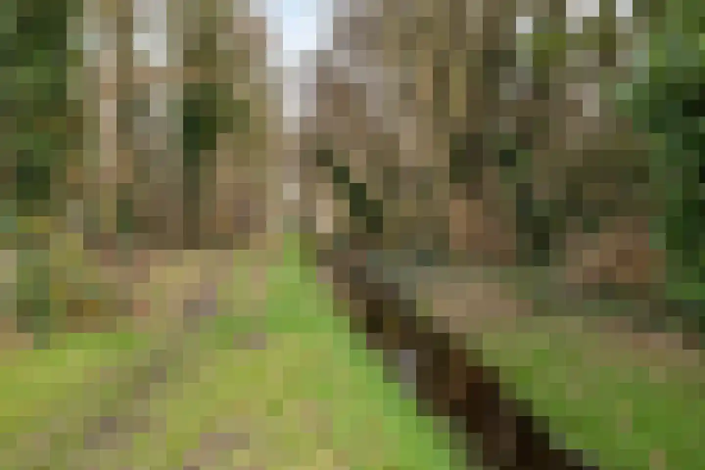 Noorderstraat 4 Buinerveen thumbnail 35