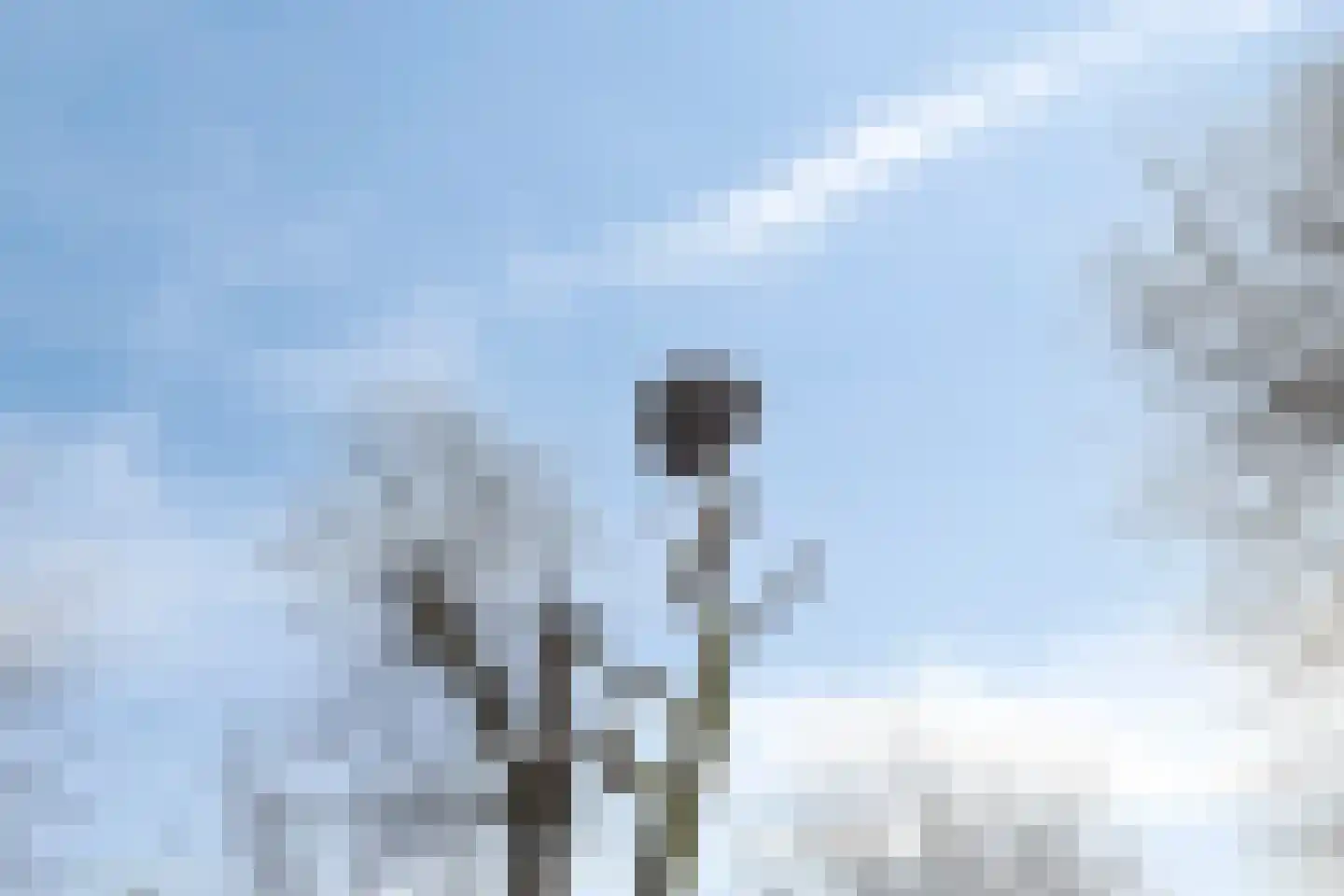 Noorderstraat 4 Buinerveen thumbnail 36