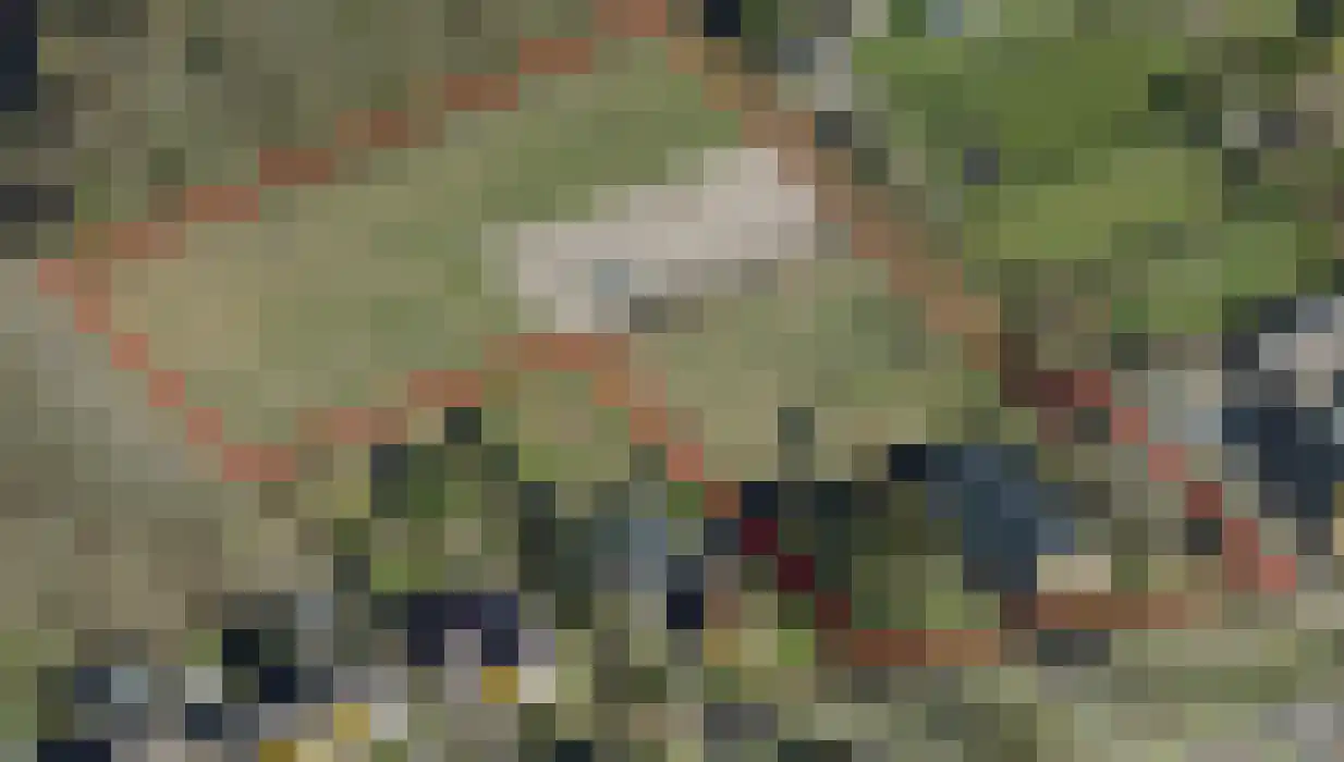 Noorderstraat 4 Buinerveen thumbnail 37