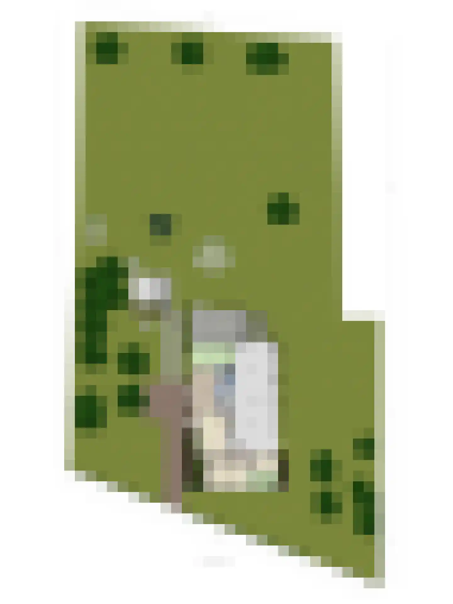 Noorderstraat 4 Buinerveen thumbnail 42