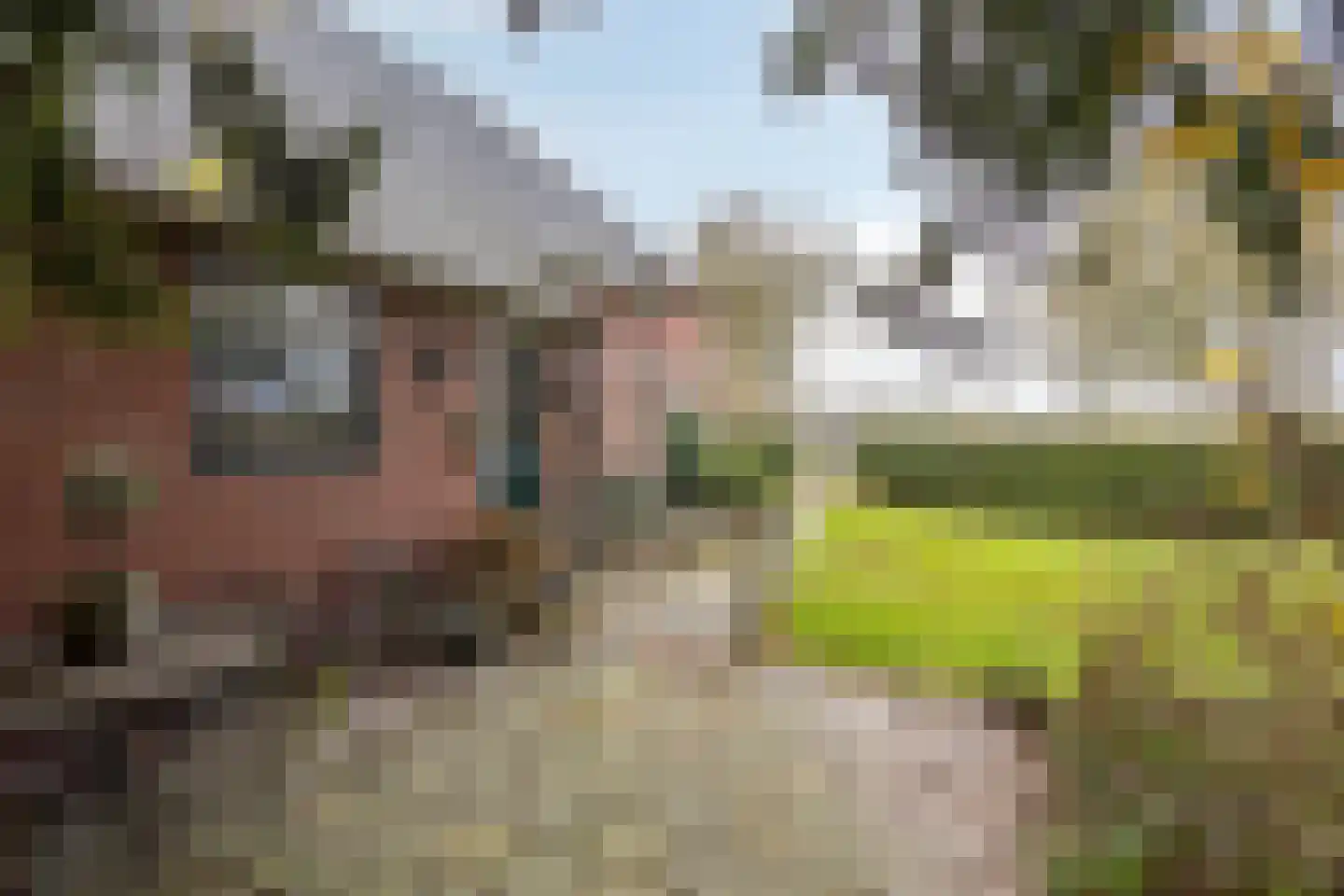 Noorderstraat 4 Buinerveen thumbnail 5