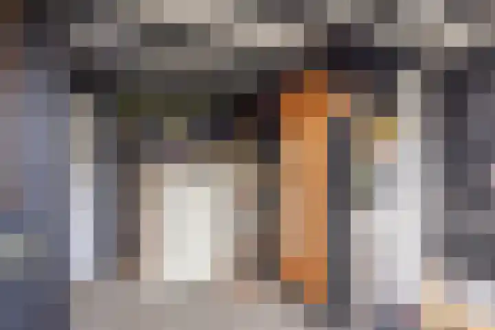 Noorderstraat 40 Krimpen aan den IJssel thumbnail 26