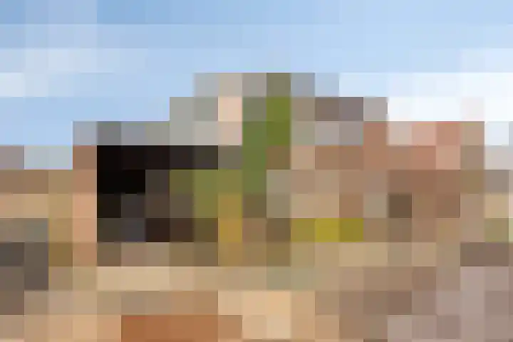 Noorderstraat 40 Krimpen aan den IJssel thumbnail 28