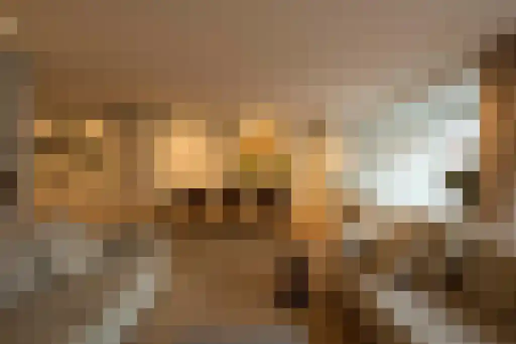 Noorderstraat 42 Amsterdam thumbnail 4