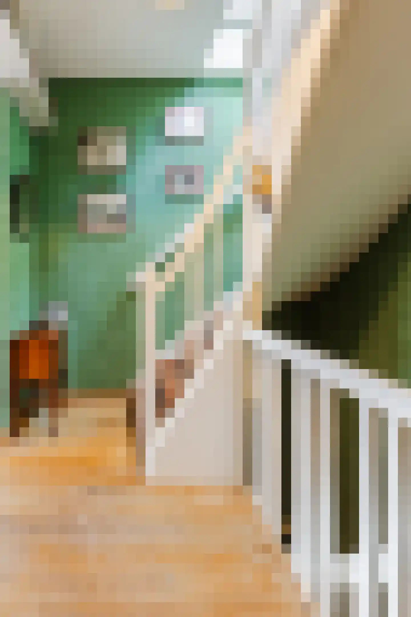Noorderstraat 45 3 Amsterdam thumbnail 33