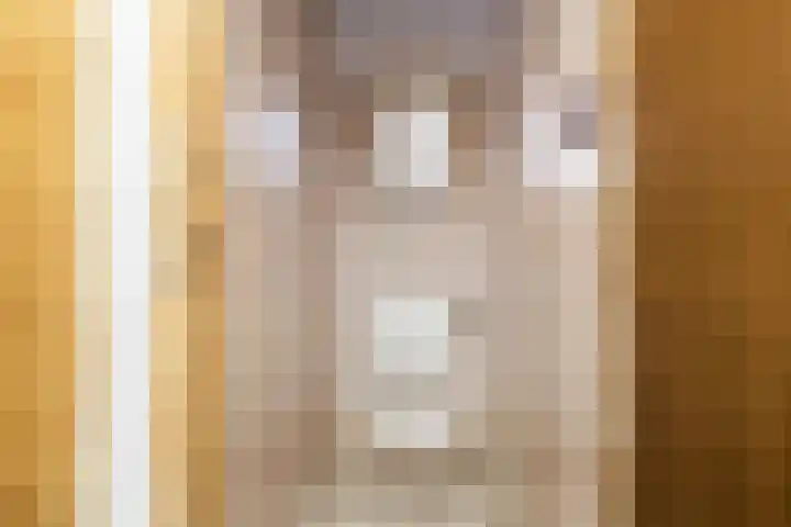 Noorderstraat 46 Bellingwolde thumbnail 11