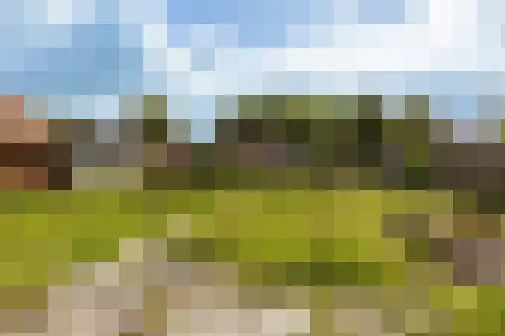 Noorderstraat 46 Bellingwolde thumbnail 16