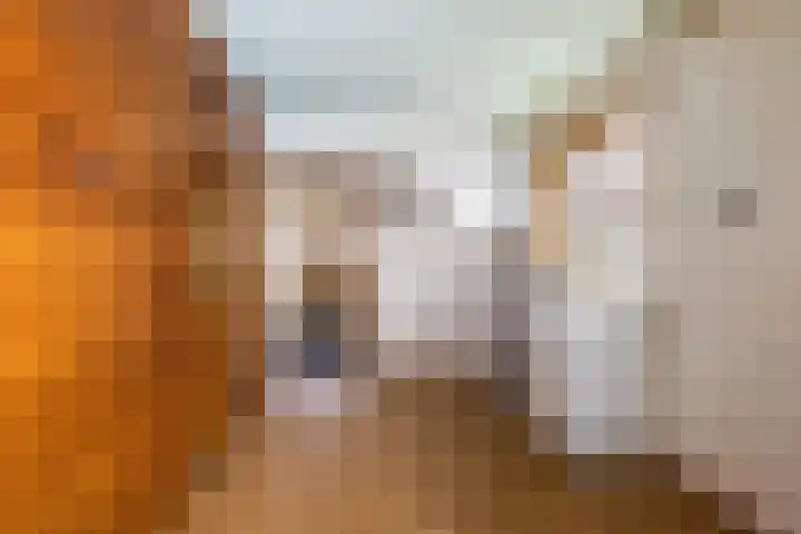 Noorderstraat 46 Bellingwolde thumbnail 7