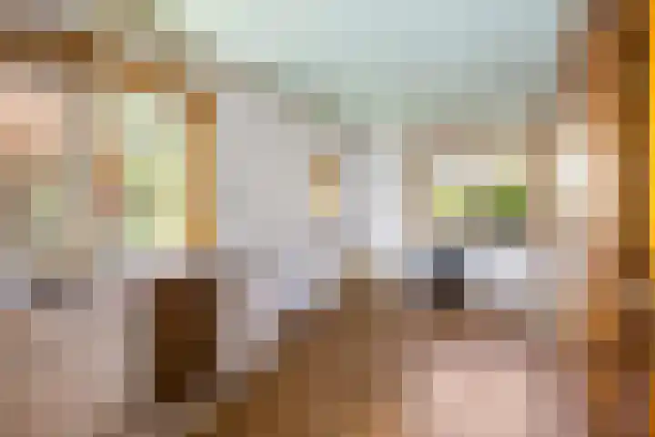 Noorderstraat 46 Bellingwolde thumbnail 8