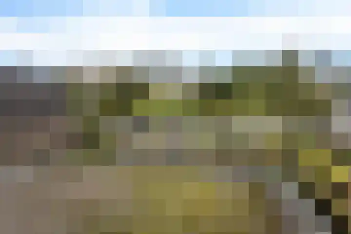 Noorderstraat 5 Baarn thumbnail 16