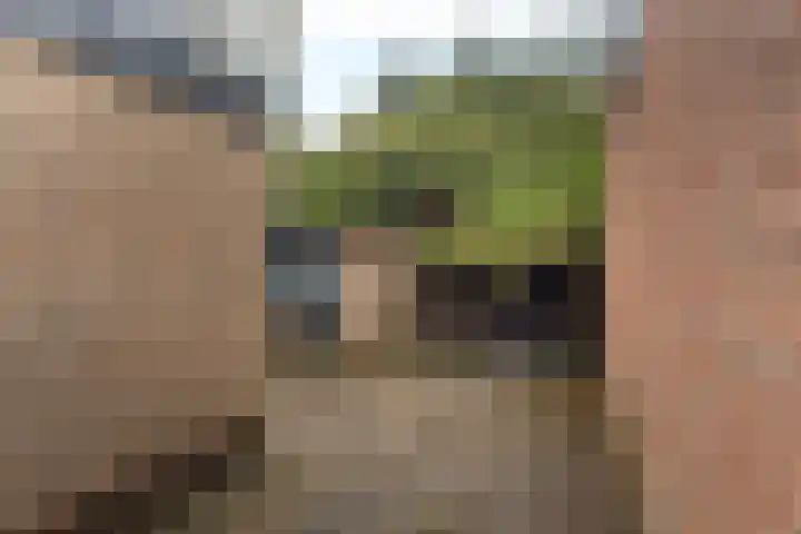 Noorderstraat 5 Baarn thumbnail 26