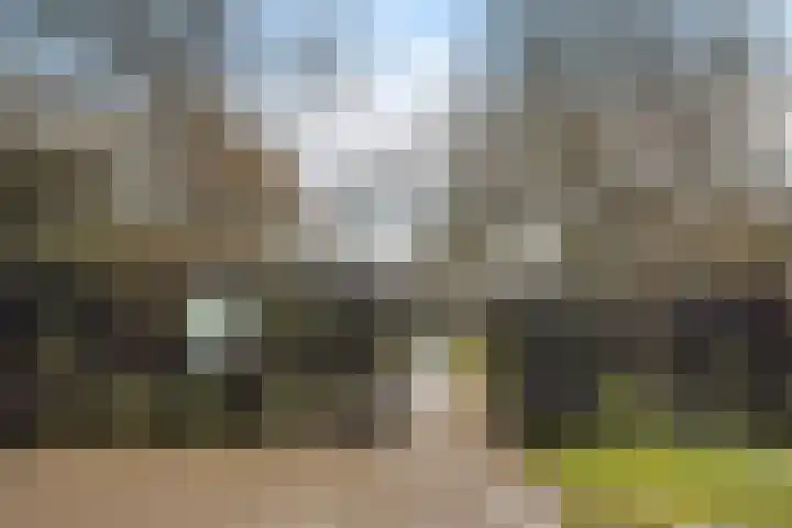 Noorderstraat 5 Baarn thumbnail 27