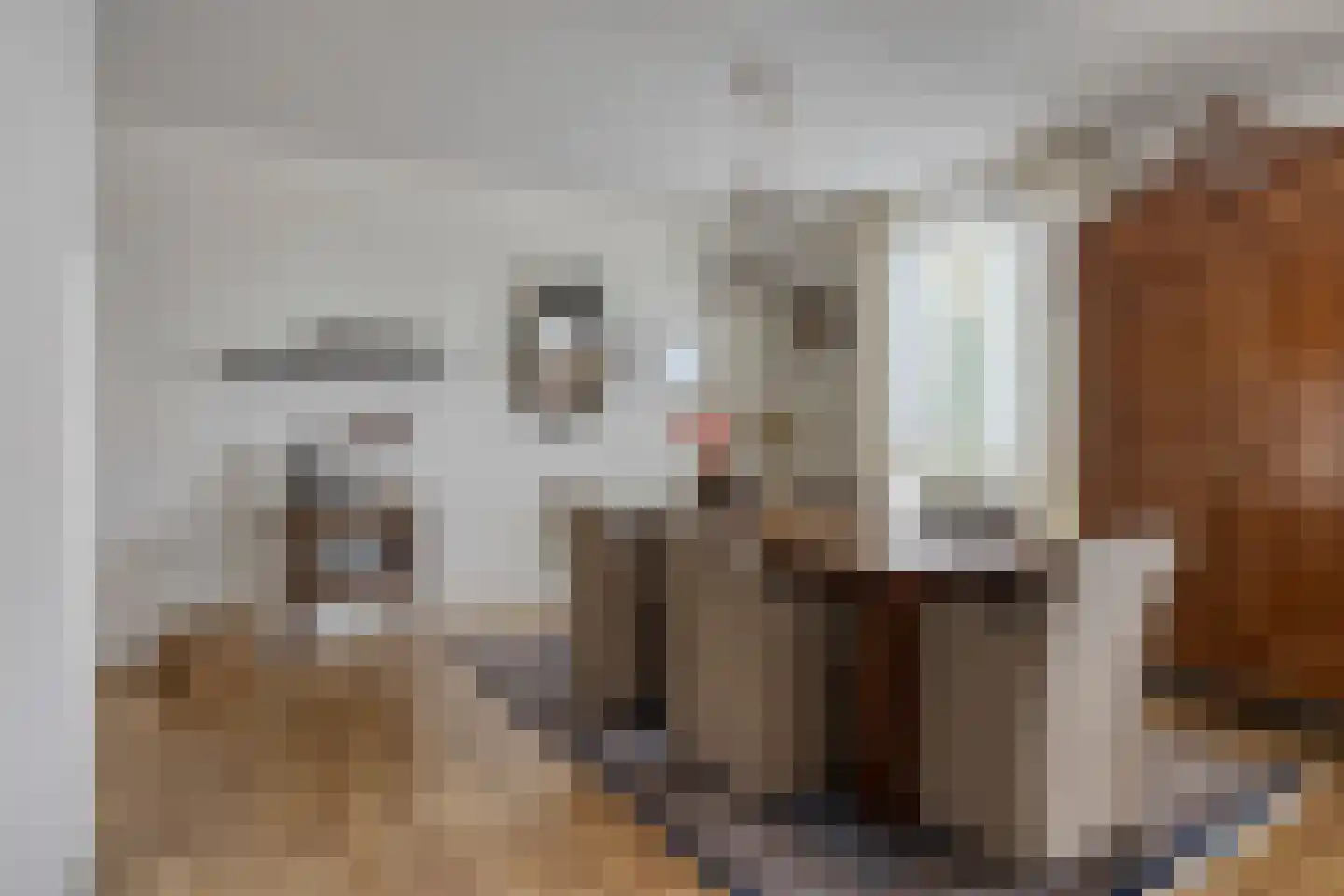 Noorderstraat 57 f Sappemeer thumbnail 15