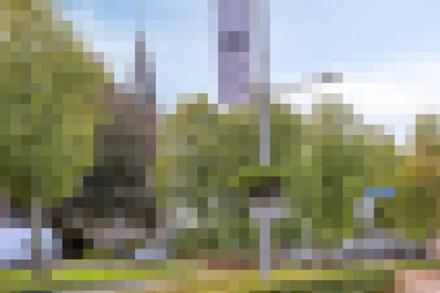 Noorderstraat 57 f Sappemeer thumbnail 46