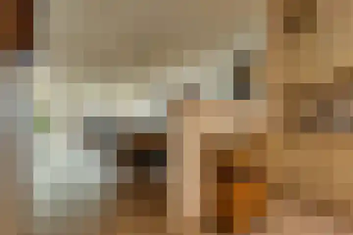 Noorderstraat 57 g Sappemeer thumbnail 17