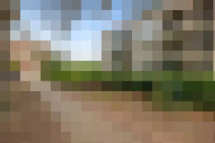 Noorderstraat 57 g Sappemeer thumbnail 30