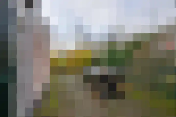 Noorderstraat 6 Edam thumbnail 25