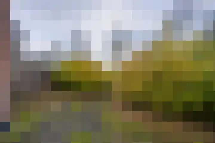 Noorderstraat 6 Edam thumbnail 27
