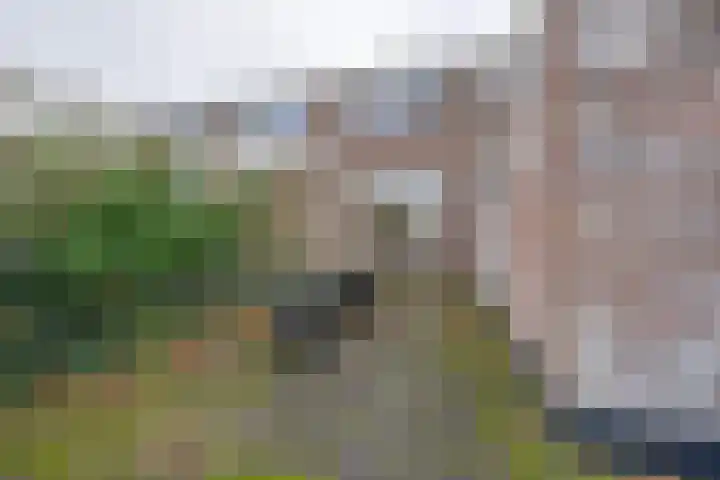 Noorderstraat 6 Edam thumbnail 29