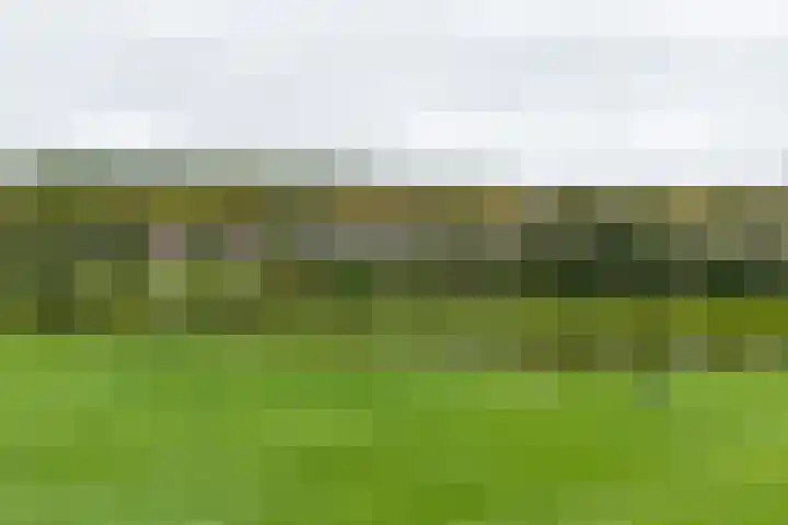 Noorderstraat 6 Edam thumbnail 51