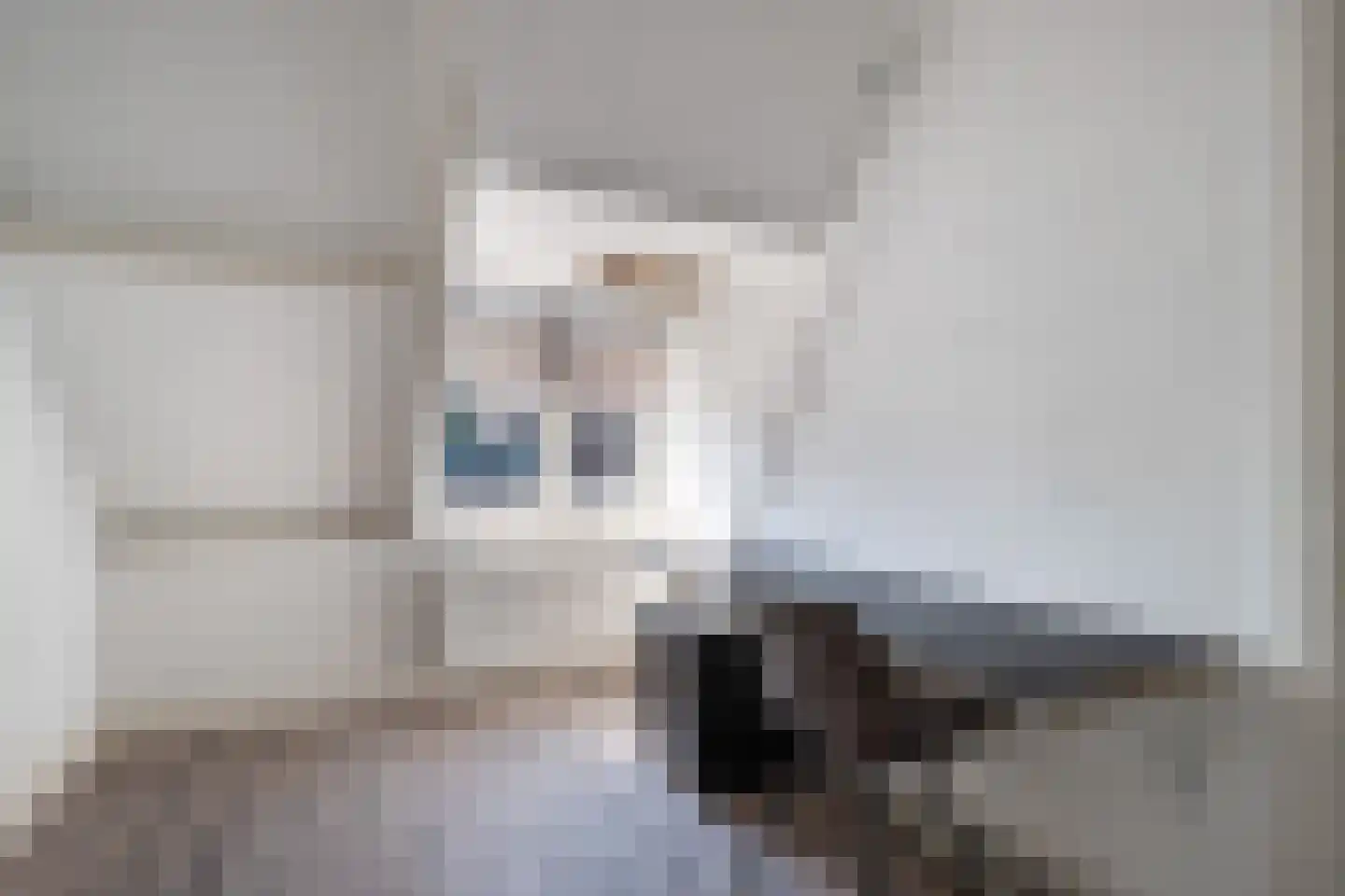Noorderstraat 6 Krimpen aan den IJssel thumbnail 15