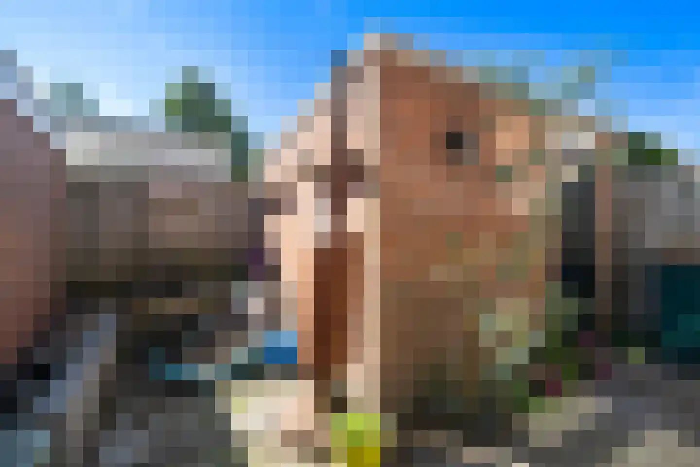 Noorderstraat 6 Krimpen aan den IJssel thumbnail 22