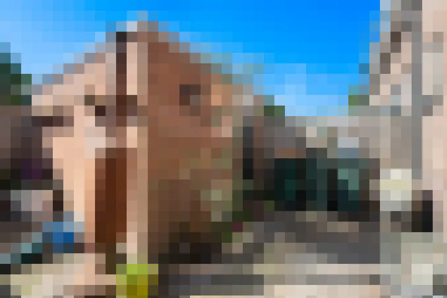 Noorderstraat 6 Krimpen aan den IJssel thumbnail 23