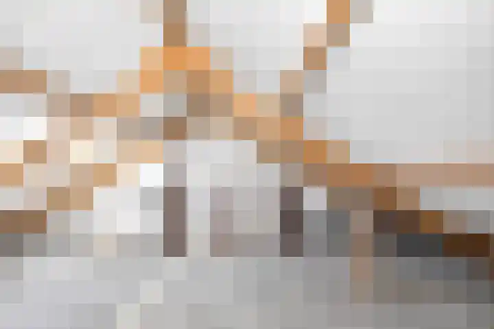 Noorderstraat 62 Dieren thumbnail 18