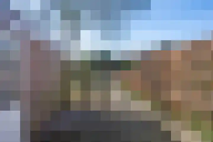 Noorderstraat 62 Dieren thumbnail 31
