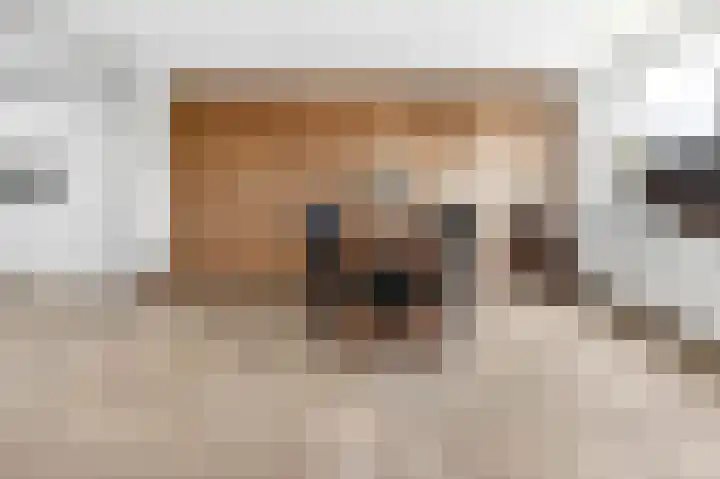 Noorderstraat 62 Dieren thumbnail 4