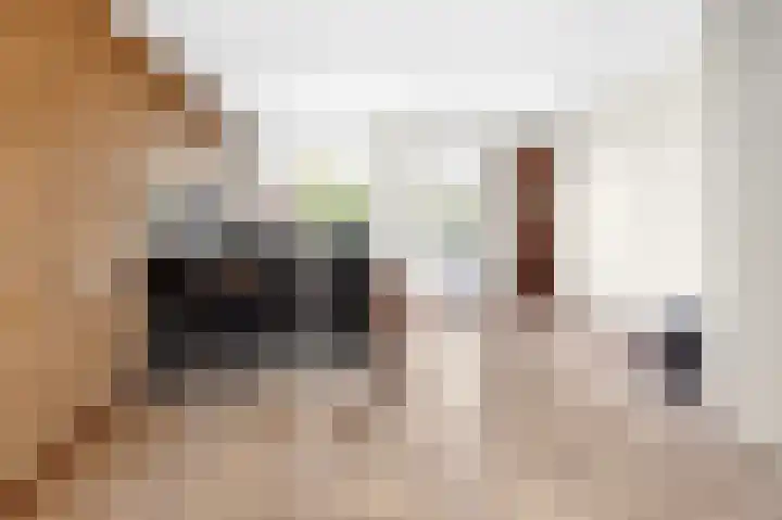 Noorderstraat 62 Dieren thumbnail 5