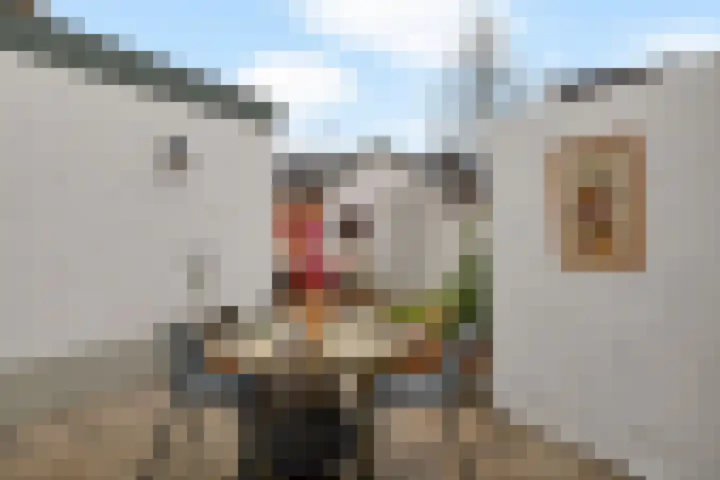 Noorderstraat 65 Baarn thumbnail 16
