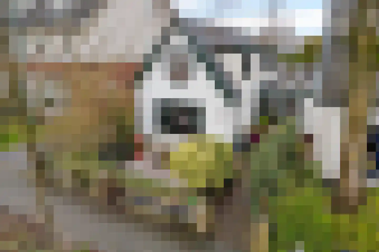 Noorderstraat 65 Baarn thumbnail 19