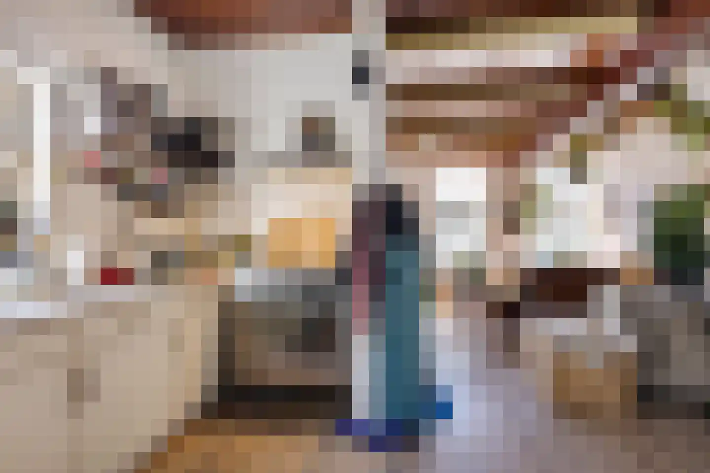 Noorderstraat 7 Uithuizen thumbnail 10