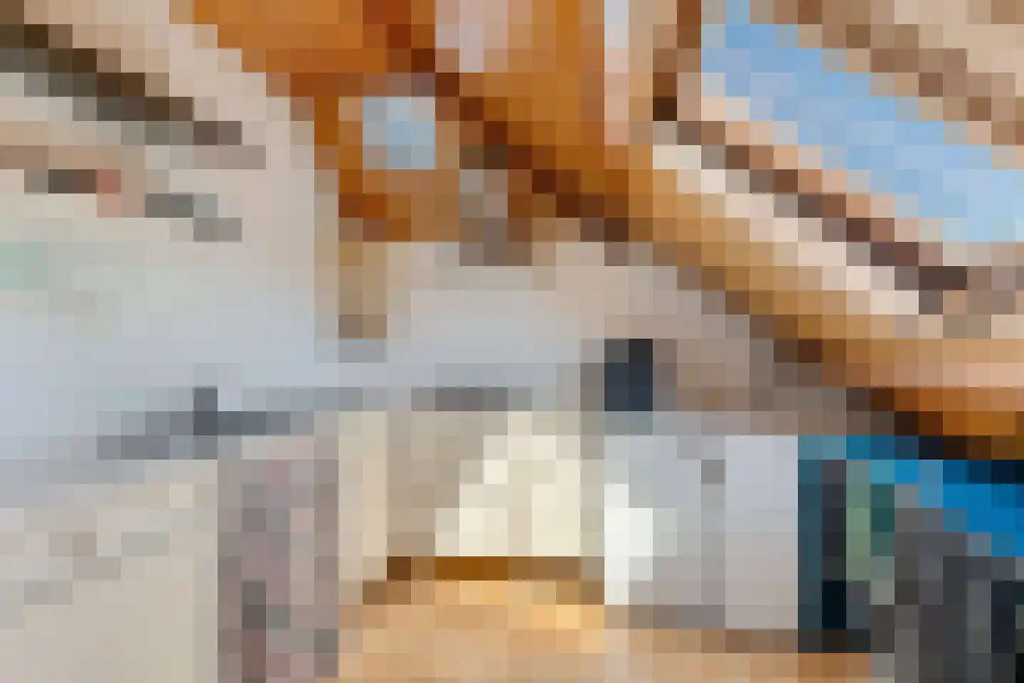 Noorderstraat 7 Uithuizen thumbnail 20