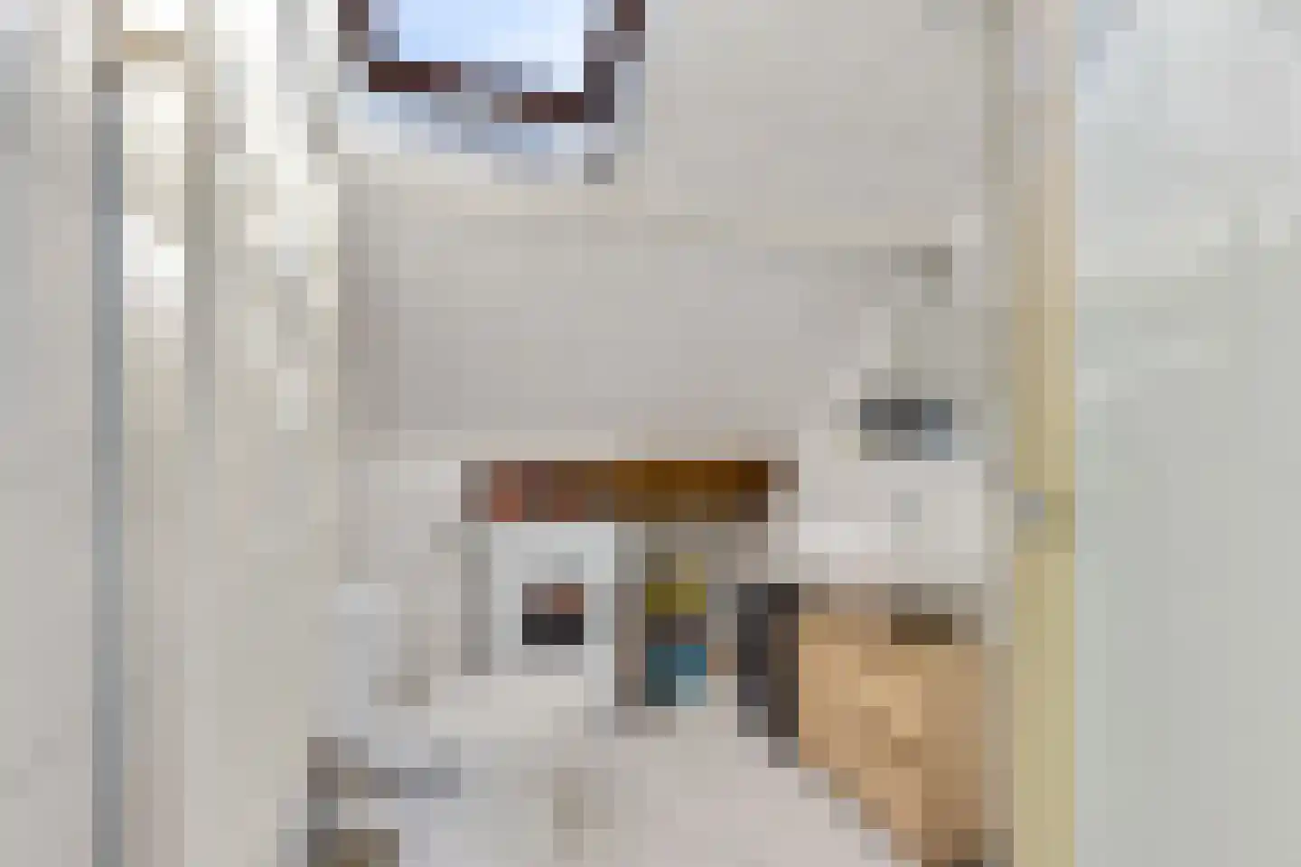 Noorderstraat 7 Uithuizen thumbnail 22