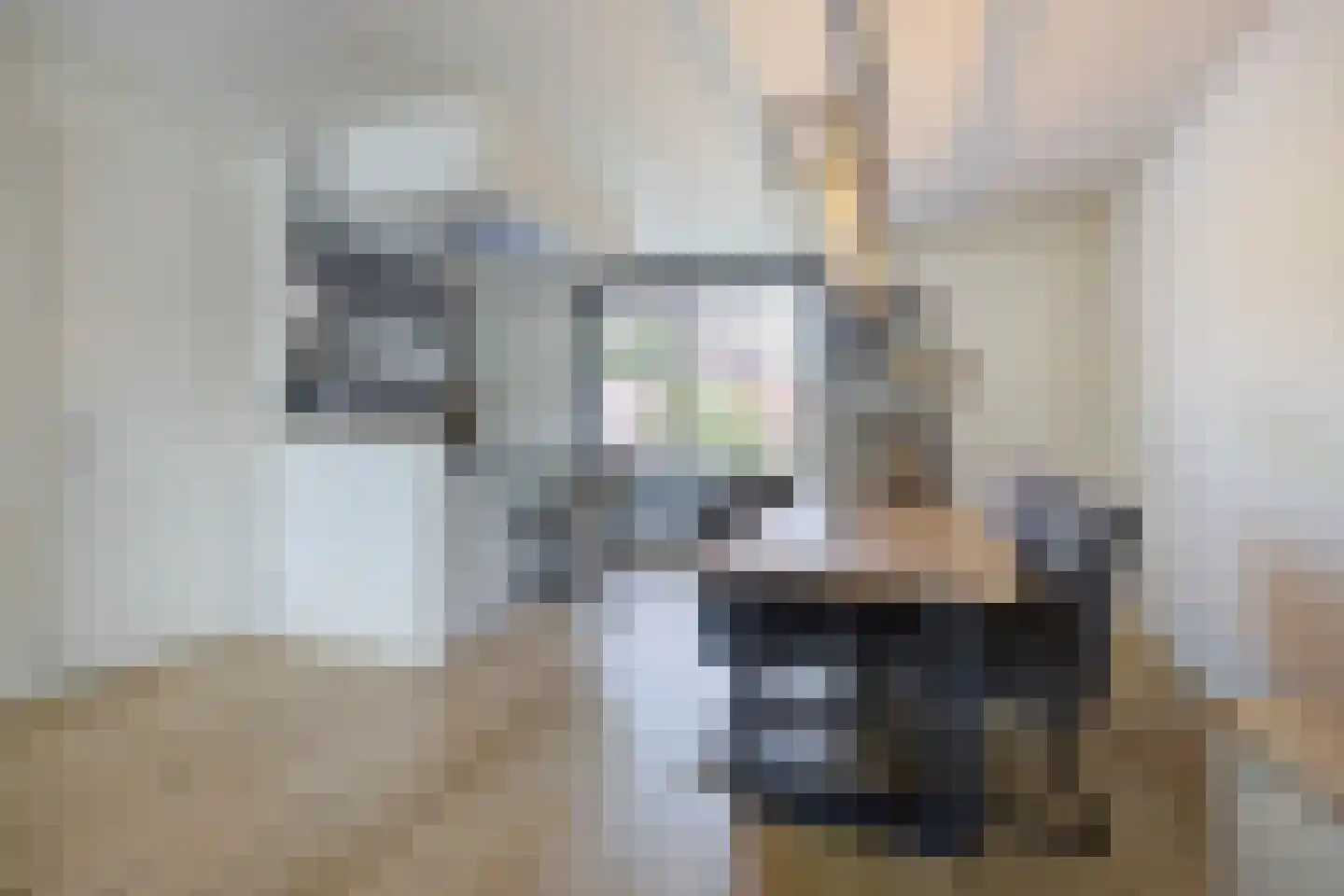 Noorderstraat 70 A Sprundel thumbnail 12