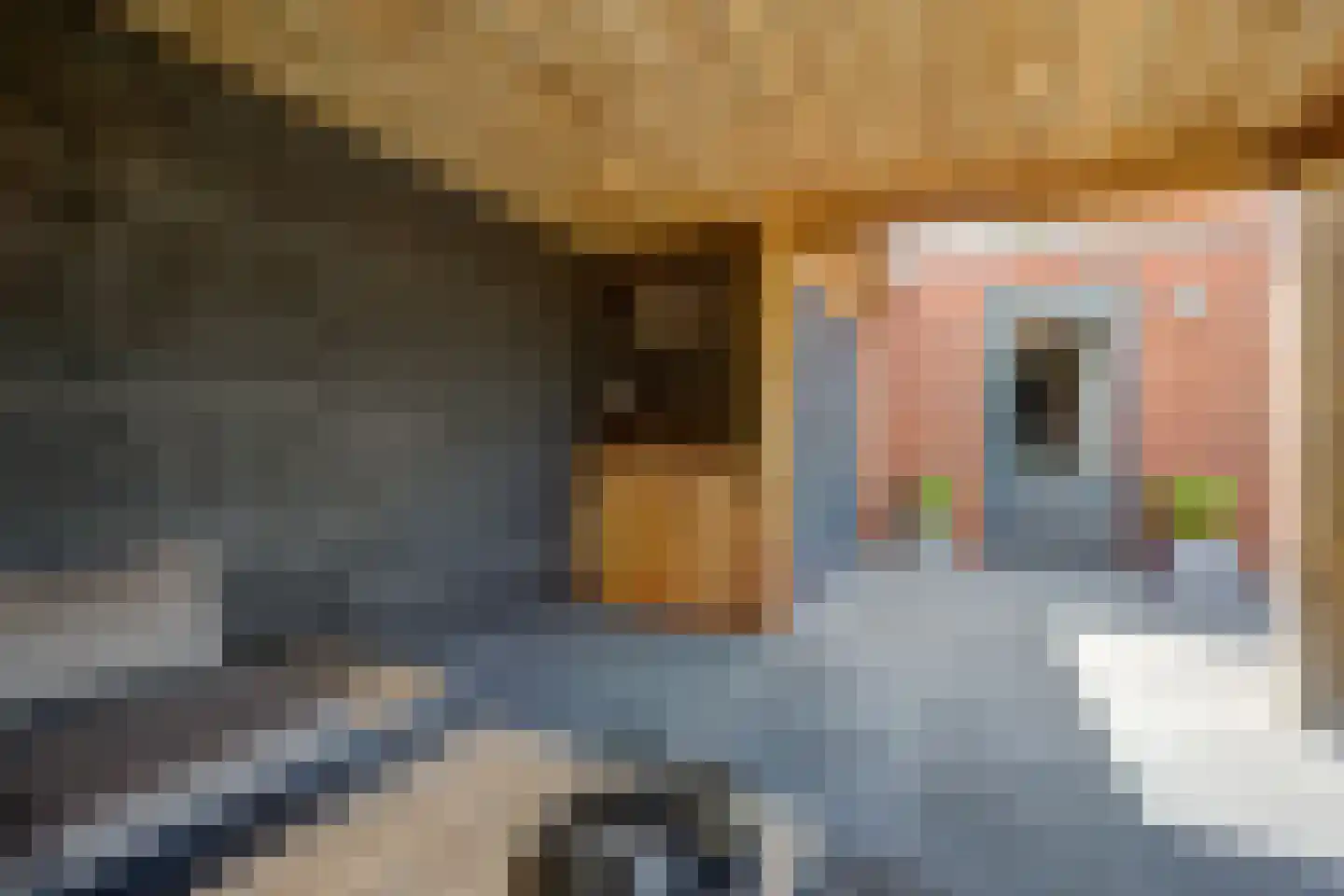 Noorderstraat 70 A Sprundel thumbnail 39